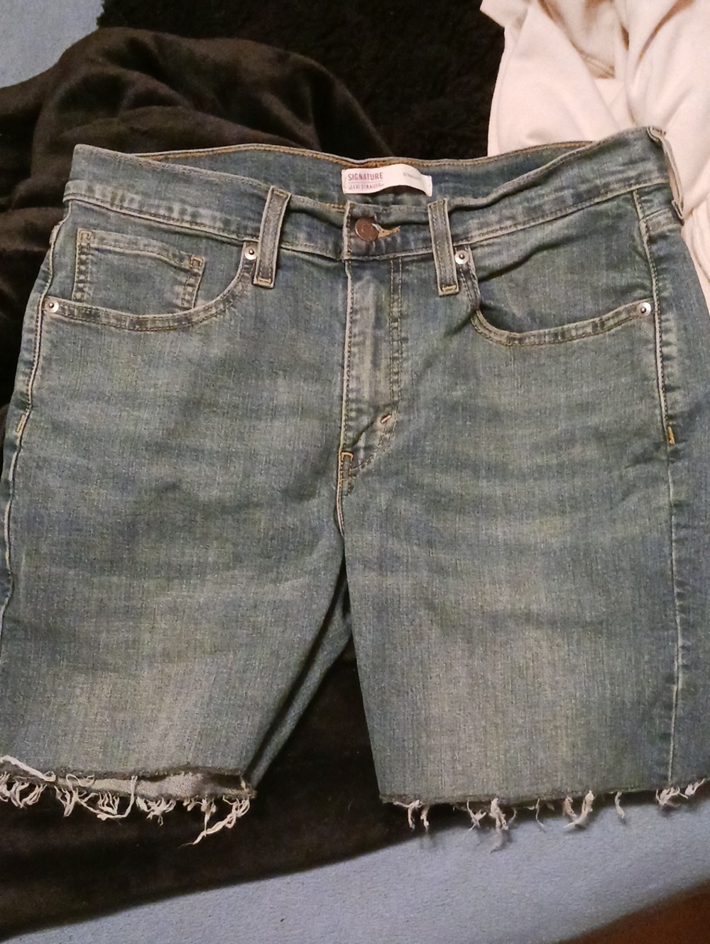 Signature frayed hem denim cutoff shorts in blue-green wash